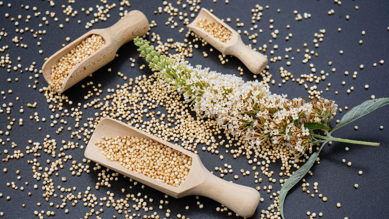 Stress verminderen quinoa eten